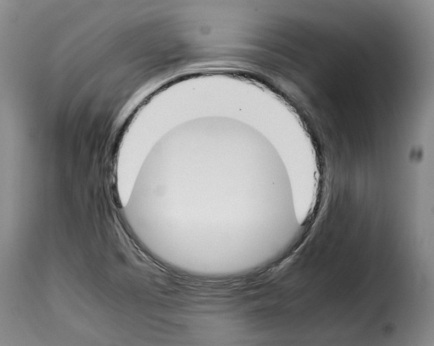 X0000114231457200911201058