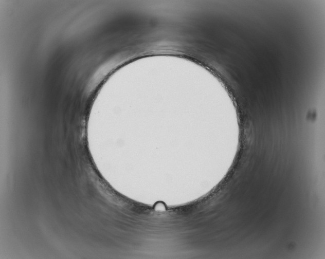 X0000114231461200911201058