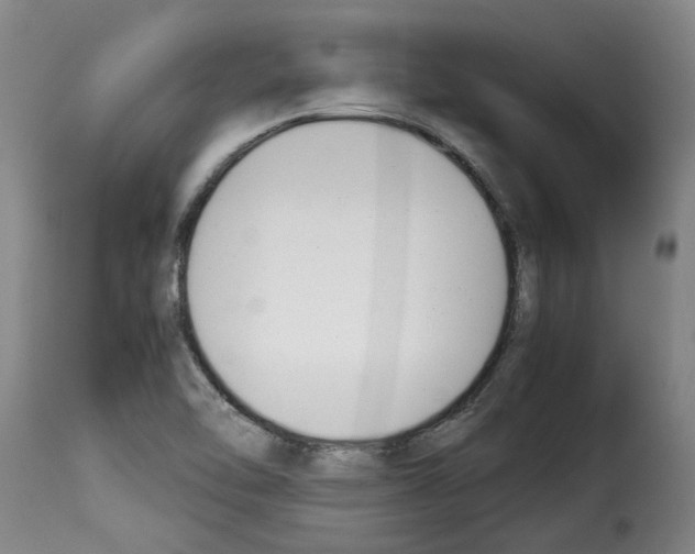 X0000114231462200911201058