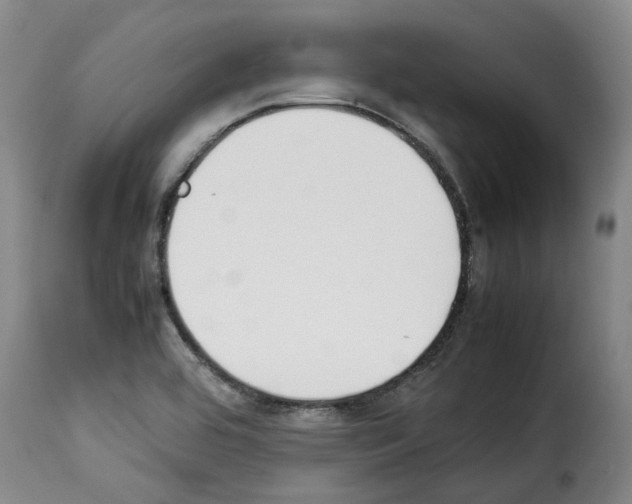 X0000114231464200911201058