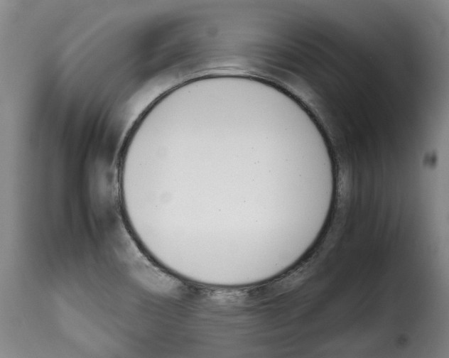 X0000114231466200911201058