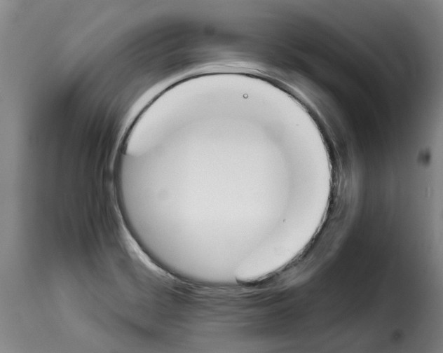 X0000114231468200911201058