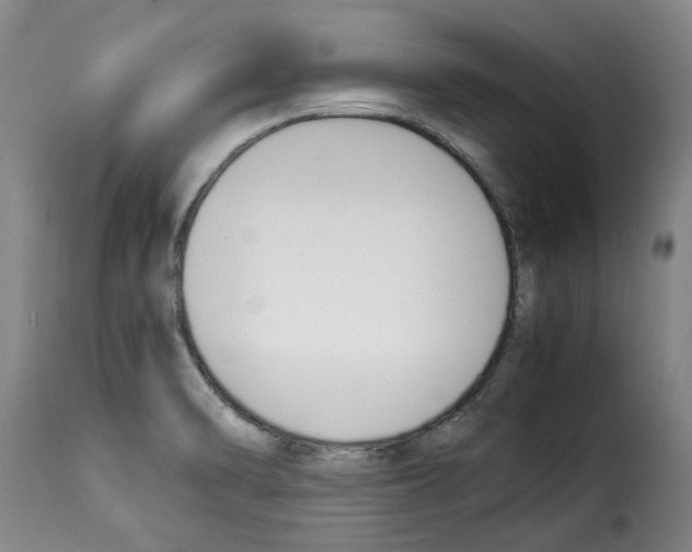 X0000114231470200911201058