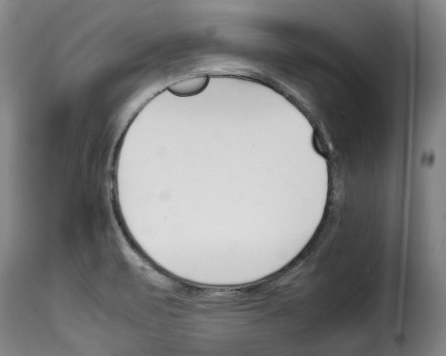 X0000114231471200911201058