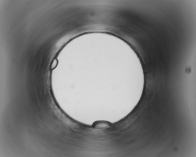 X0000114231472200911201058