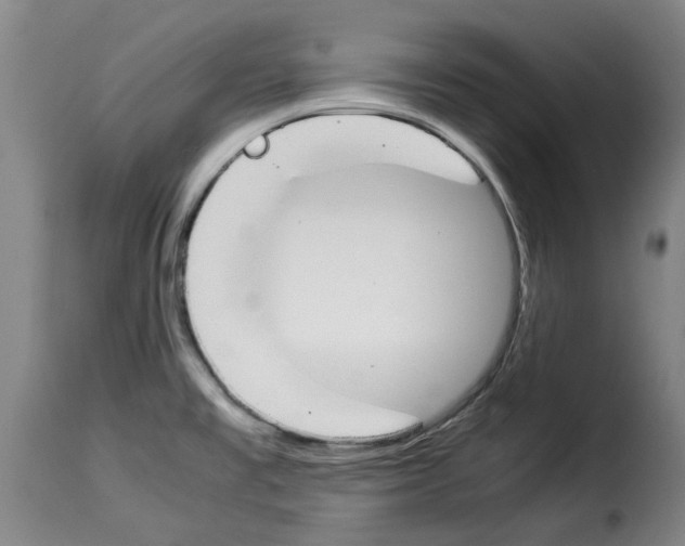 X0000114231477200911201058