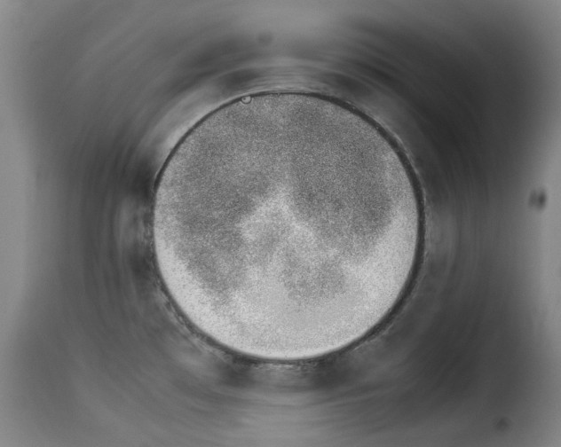 X0000114231481200911201058