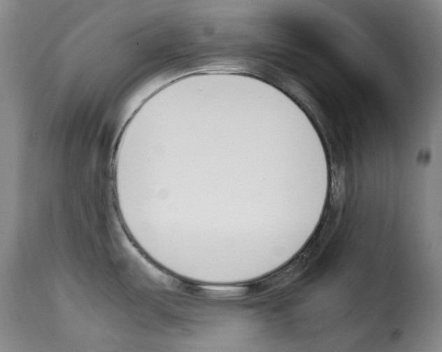 X0000114231487200911201058