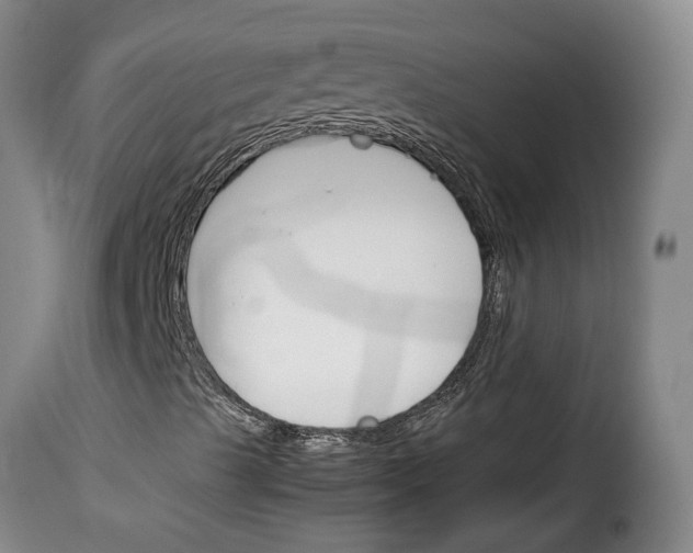 X0000114231489200911201057