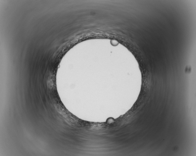 X0000114231490200911201057