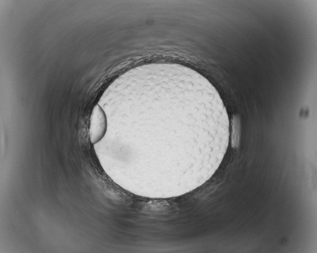 X0000114231491200911201057