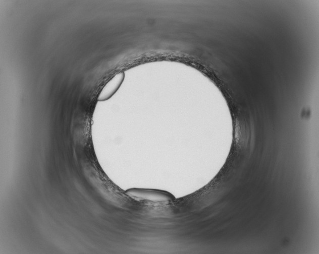 X0000114231492200911201057