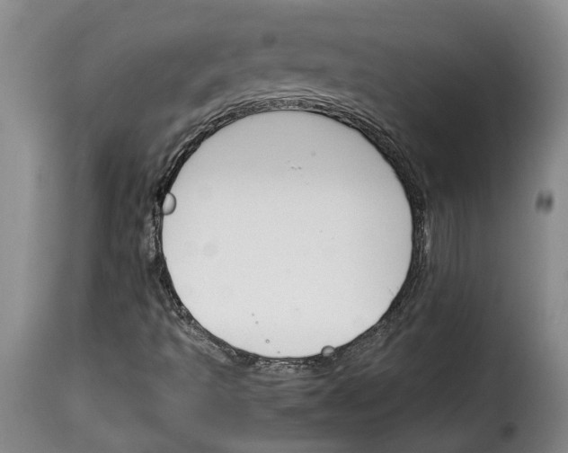 X0000114231493200911201057
