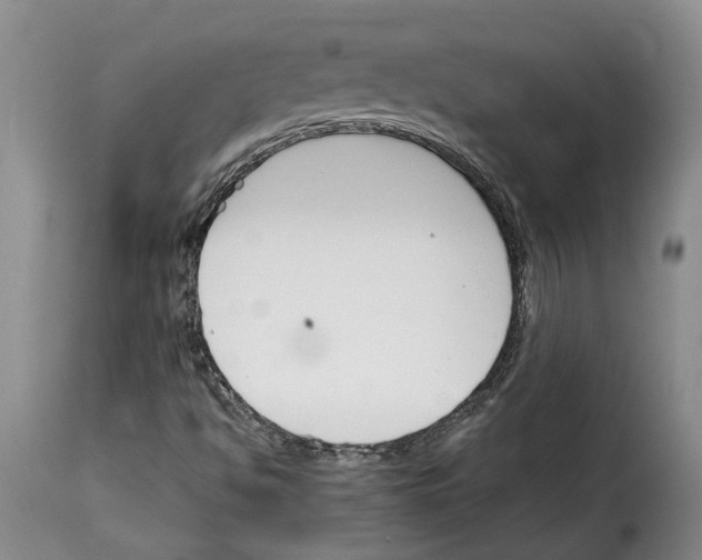 X0000114231494200911201057
