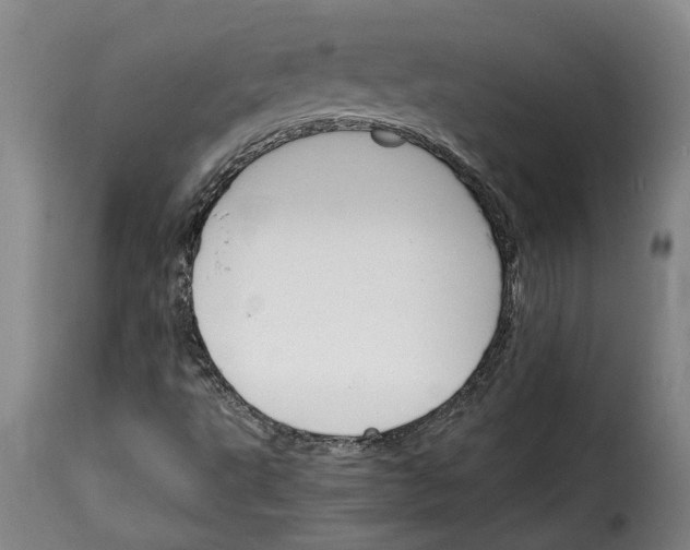X0000114231495200911201057