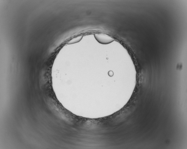 X0000114231496200911201057