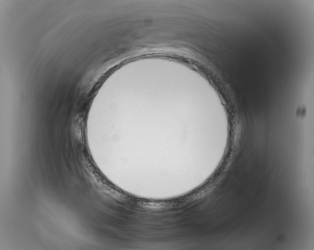 X0000114231497200911201057