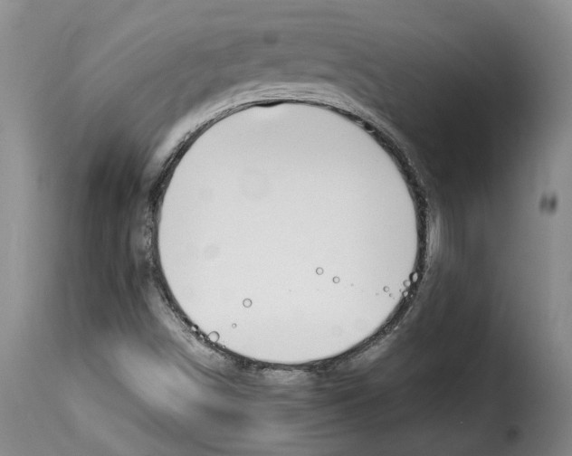 X0000114231498200911201057