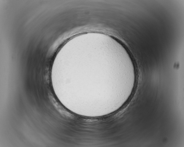 X0000114231499200911201057