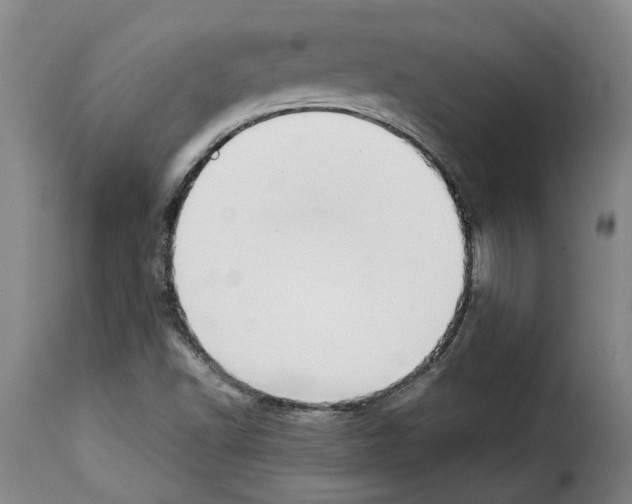 X0000114231502200911201057