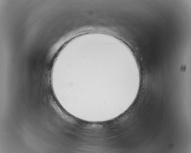 X0000114231503200911201057