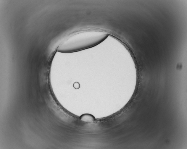 X0000114231504200911201057