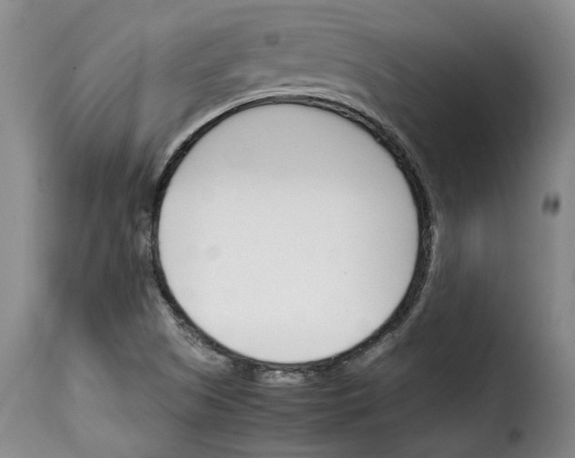 X0000114231505200911201057