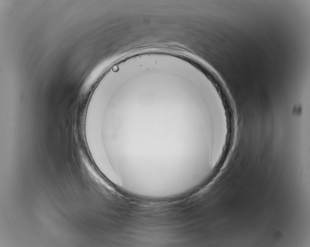 X0000114231506200911201057