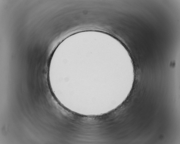 X0000114231508200911201057