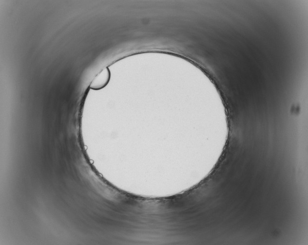 X0000114231512200911201058