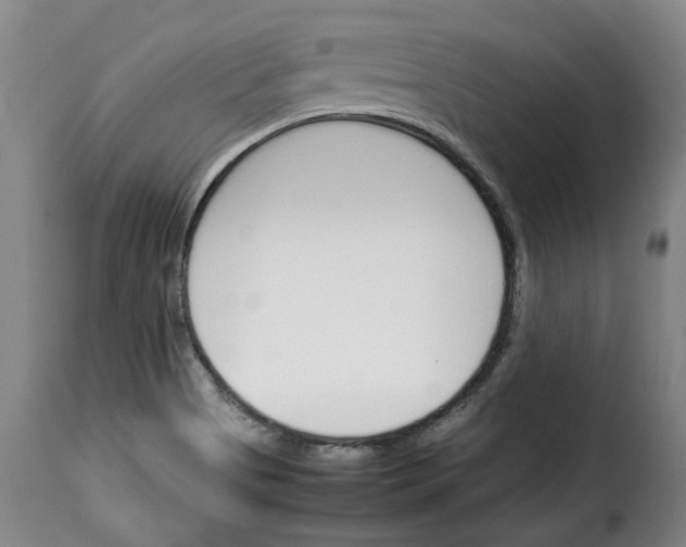 X0000114231513200911201058