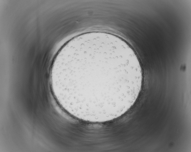 X0000114231515200911201058