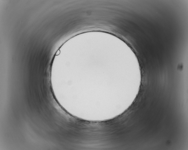X0000114231516200911201058