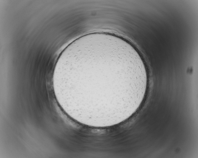 X0000114231521200911201058