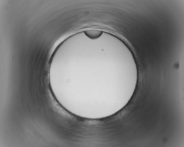 X0000114231522200911201058