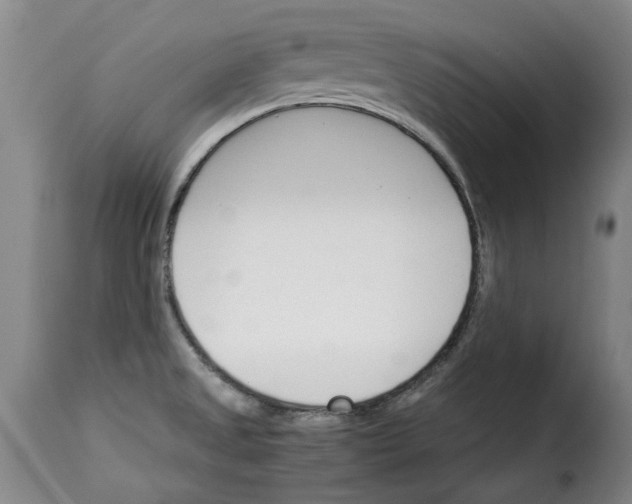 X0000114231525200911201058