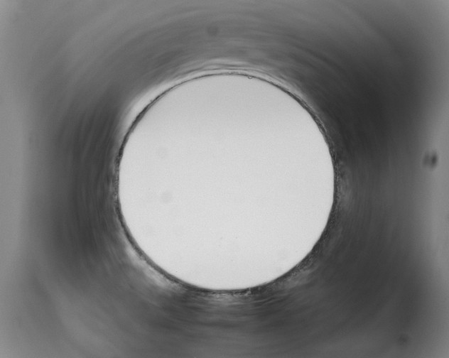 X0000114231527200911201058