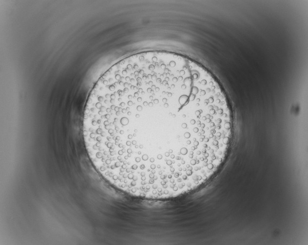 X0000114231529200911201058