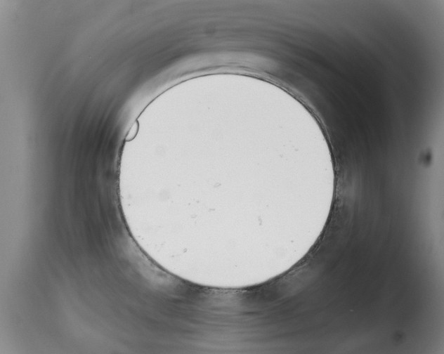 X0000114231532200911201058