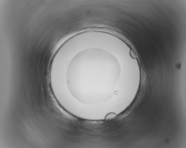 X0000114231533200911201058