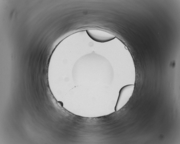 X0000114231534200911201058