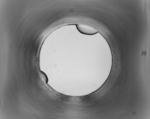 X0000114231536200911201058