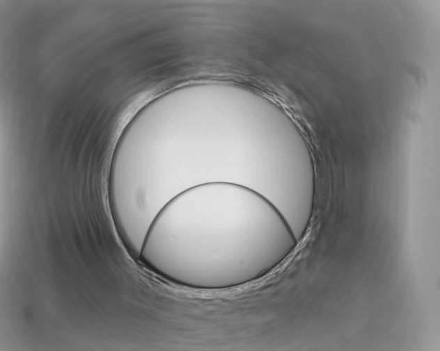 X0000114240003200910091358