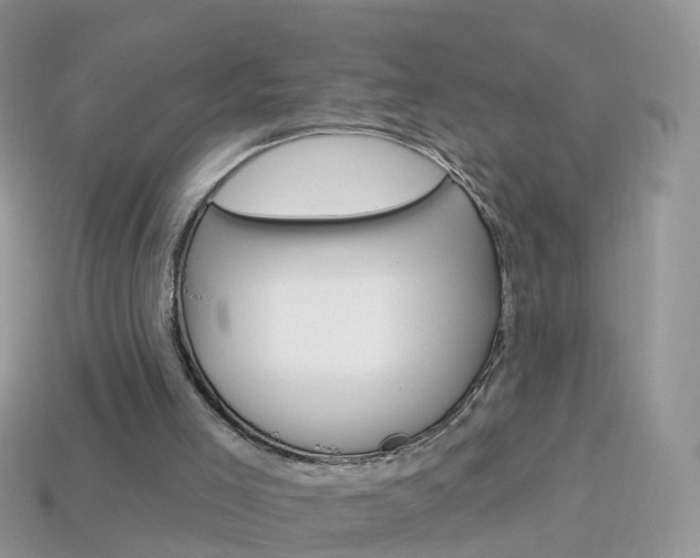 X0000114240005200910091358