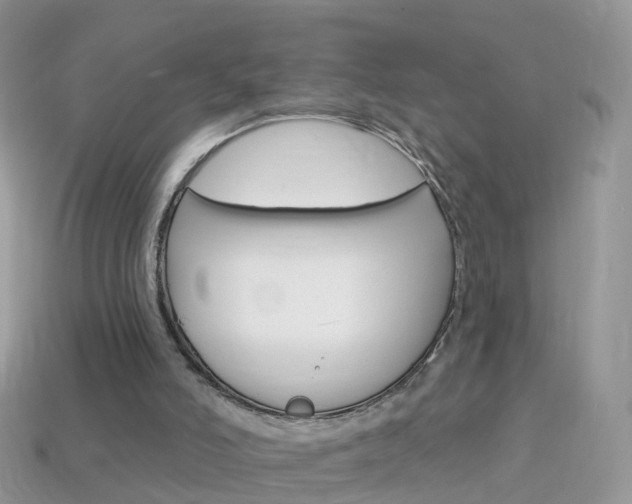X0000114240006200910091358