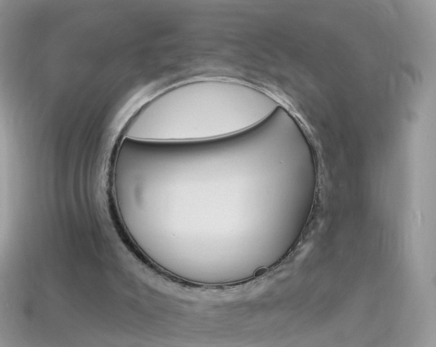 X0000114240007200910091358