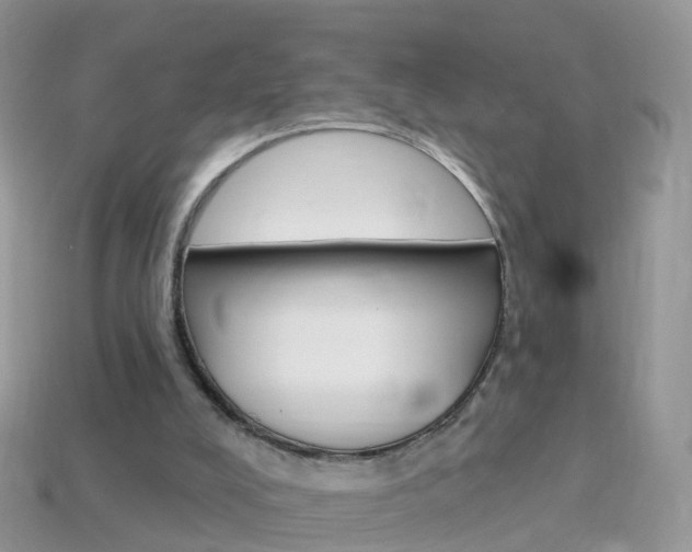 X0000114240008200910091358