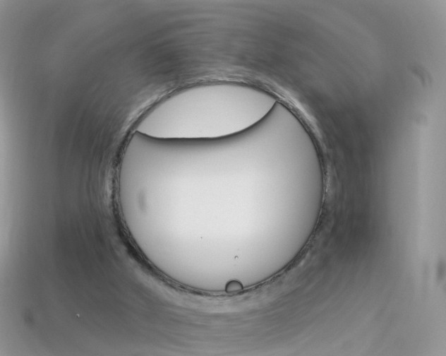 X0000114240010200910091358