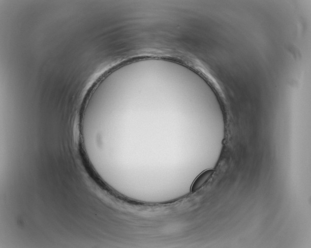 X0000114240011200910091358