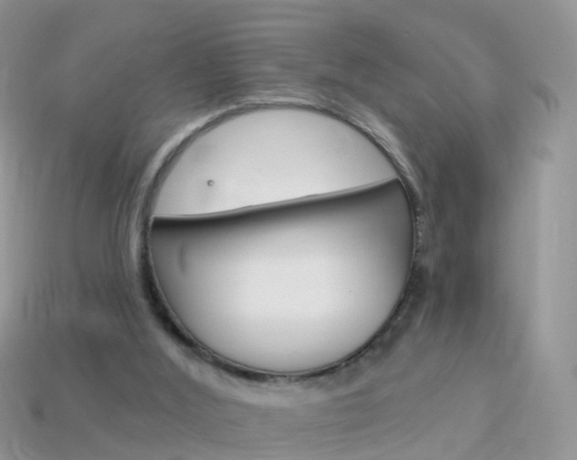 X0000114240012200910091358